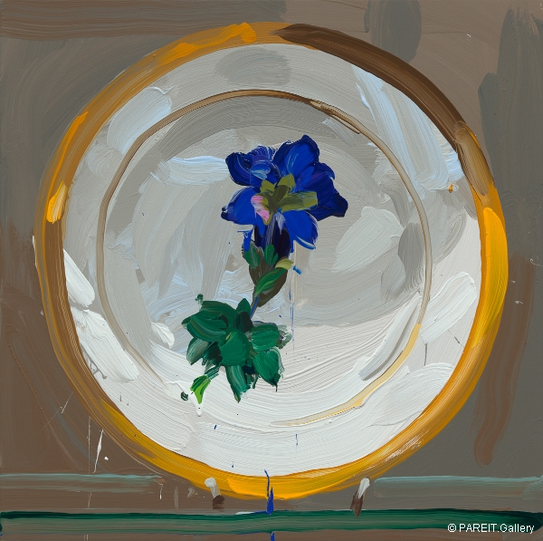 DE VLIEGHER Jan - Plate 12, 2015.13